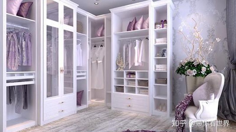 定制鞋柜代理区域保护政策：保障与发展的平衡之道